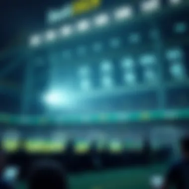 Magnificent bet365에서의 베팅 경험: 전략과 조언