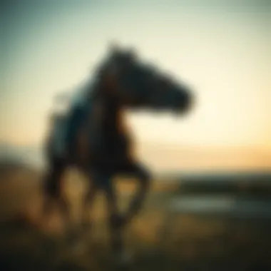 Magnificent 베팅 도메인에 대한 심층 분석 Magnificent 베팅 도메인에 대한 심층 분석