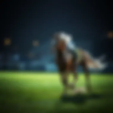 Magnificent 무입�금 무료 베팅의 세계 탐구