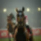 혜라카지노: 최신 동향과 전략 Introduction