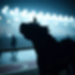 온라인 스포츠북: 현황과 전략 Introduction