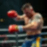 Alexander Volkanovski in action during a match